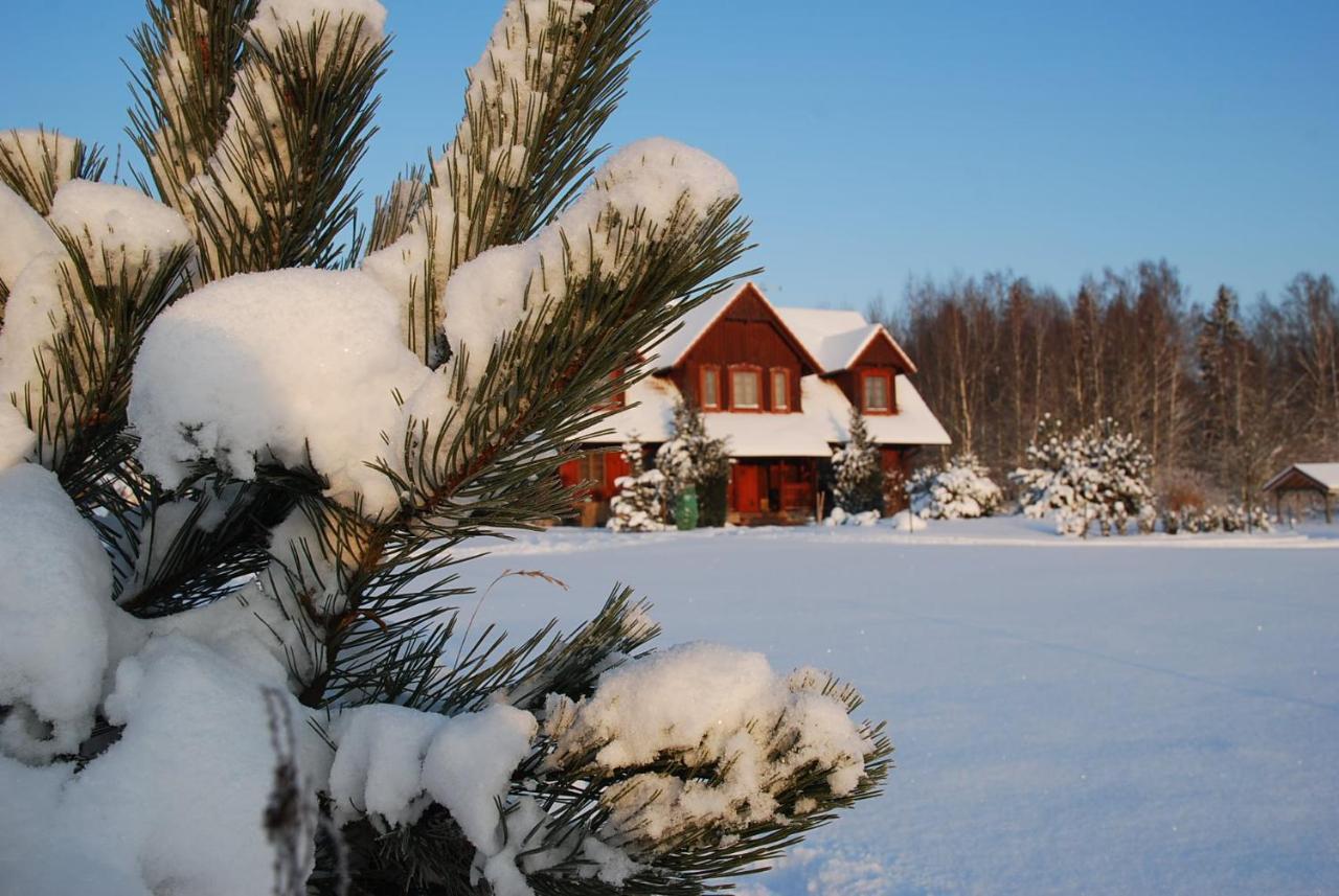Hermanowka Farm stay Ryn (Warmian-Masurian)