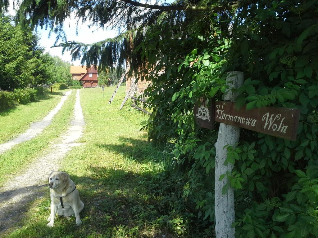 Hermanowka Ryn (Warmian-Masurian)