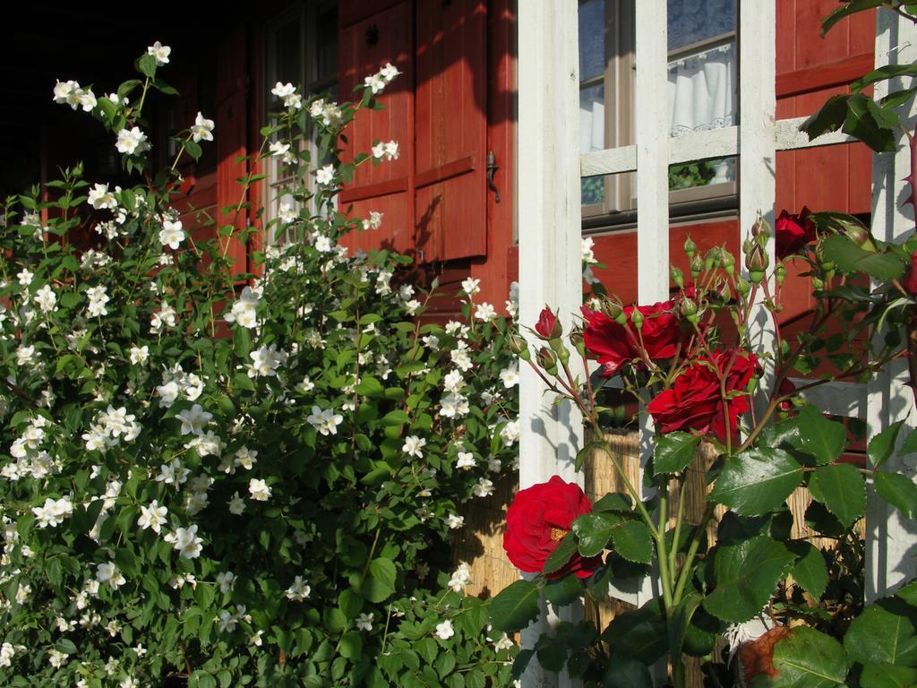 Farm stay Hermanowka *