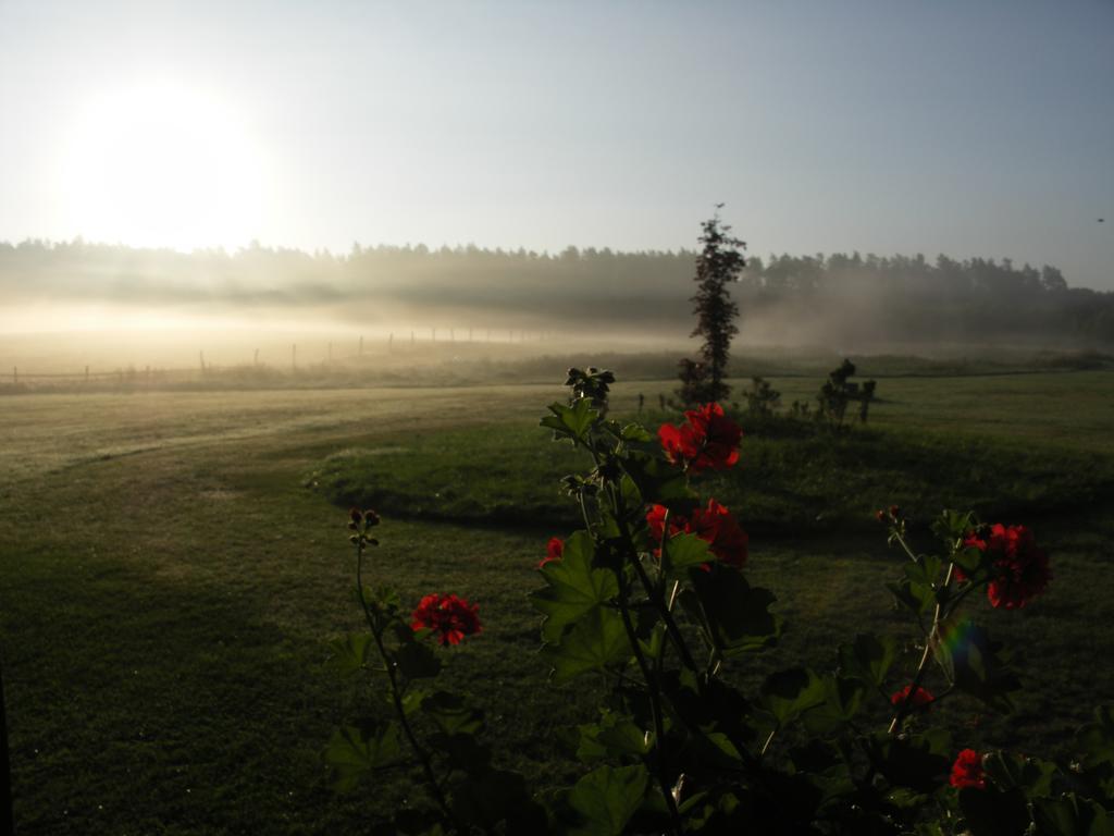 Hermanowka Farm stay *